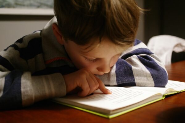 Boy reading book in a table