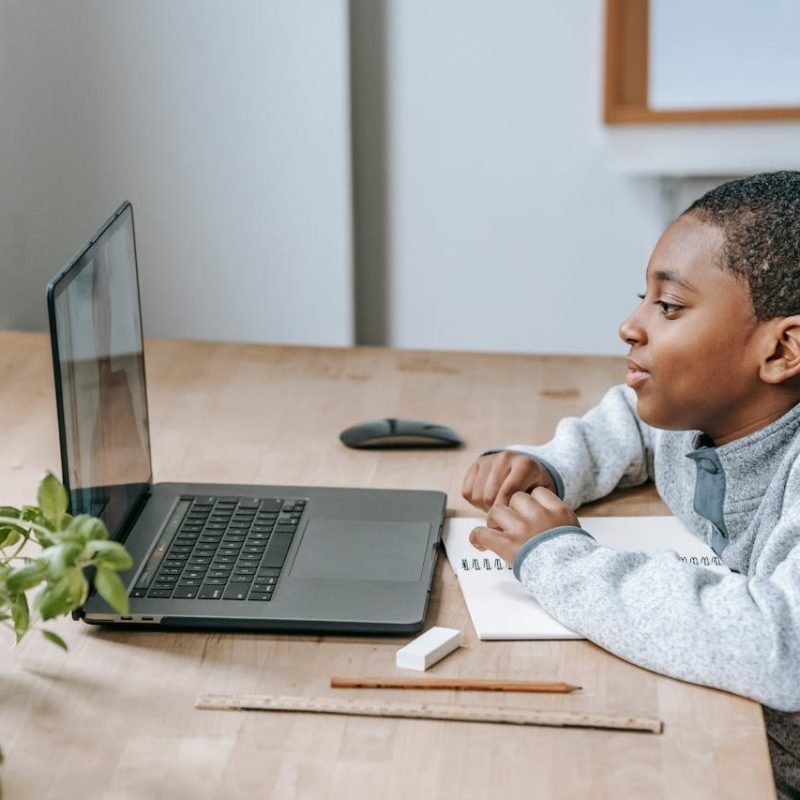 A student learning online classes in his laptop